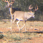 2019 Bucks