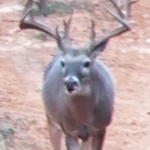 2019 Bucks